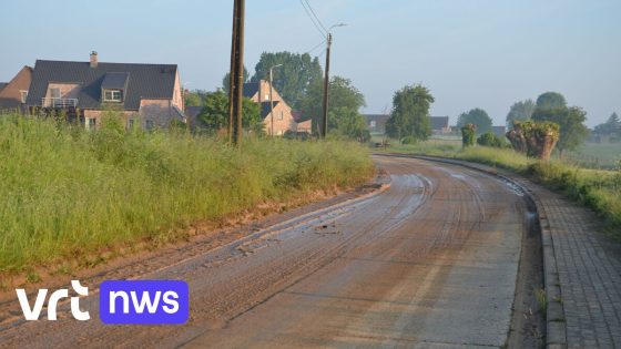 Bemodderde straten en ondergelopen kelders na hevig onweer in Zottegem