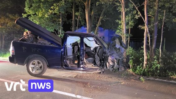Bestuurder gewond na zware klap met pick-up tegen boom in Turnhout