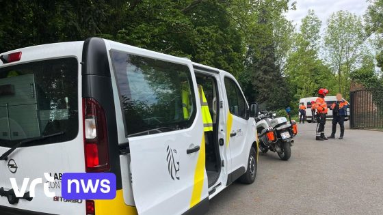 Bestuurder met levenslang rijverbod vlucht bij verkeerscontrole in Beersel - VRT