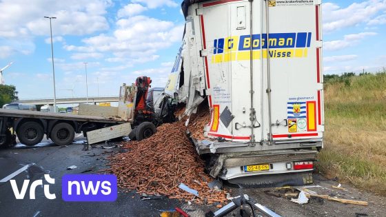 E19 ter hoogte van Loenhout volledig afgesloten richting Antwerpen na kettingbotsing met vrachtwagens: "Lading wortelen verloren"