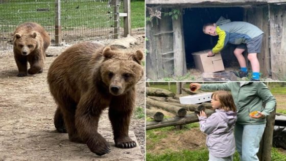 Elise (8), Robbe (8) en Wannes (11) mogen berenwelpjes voor één keer voederen, voor die naar het Verenigd Koninkrijk verhuizen (Binnenland)