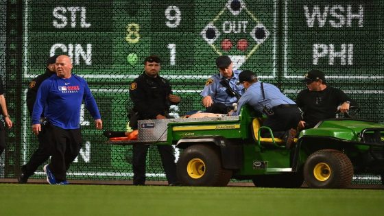 Fan hospitalized after falling from stands during Pirates vs. Cubs