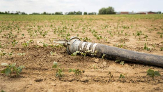 Daar is het eerste captatieverbod: landbouwers mogen geen water onttrekken uit stroomgebied van Kleine Aa