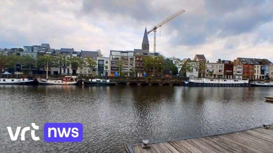 Gent experimenteert met zwemzone in open water aan Portus Ganda: "Reserveren is verplicht" - VRT
