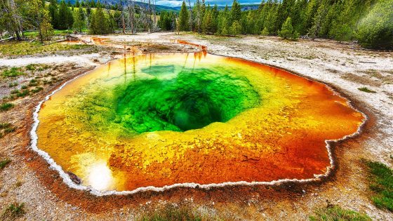 2025/05/giant-viruses_yellowstone-park-discovery_early-life_1m.jpg