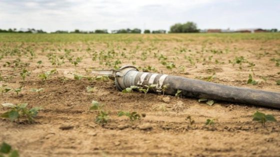 Gouverneur breidt onttrekkingsverbod van onbevaarbare waterlopen in Oost-Vlaanderen uit (Binnenland)