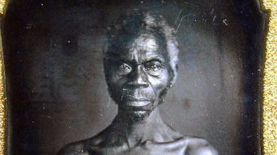 Harvard Relents After Protracted Fight Over Slave Photos