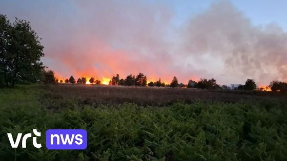Heidebrand in Nationaal Park Hoge Kempen werd aangestoken - VRT