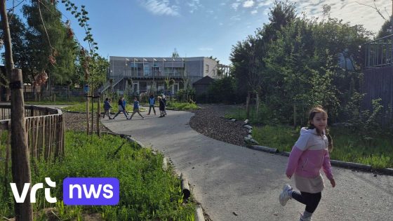 Gedaan met spelen op asfalt: Heilig Hartinstituut Heverlee maakt speelplaats groener
