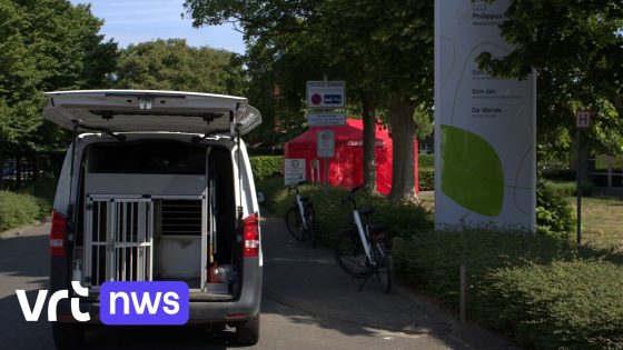 Echtgenoot die vrouw doodstak op straat in Eeklo aangehouden voor moord