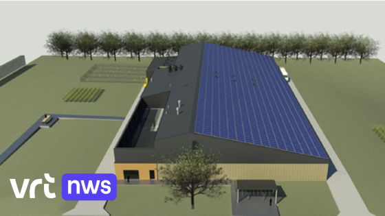 Onderzoekscentrum bouwt 'ideale' kippenstal in Merelbeke- Melle: "Beter voor dierenwelzijn en milieu" 