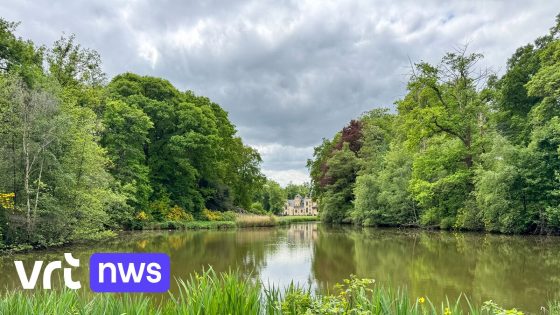 Kasteelpark Westmalle voortaan volledig toegankelijk voor publiek: "Glooiend landschap met romantische bruggetjes"