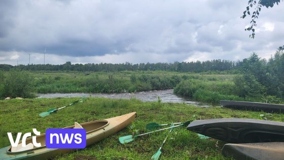 Kempense kajakverhuurders vrezen groot inkomstenverlies door tijdelijk vaarverbod op Kleine Nete