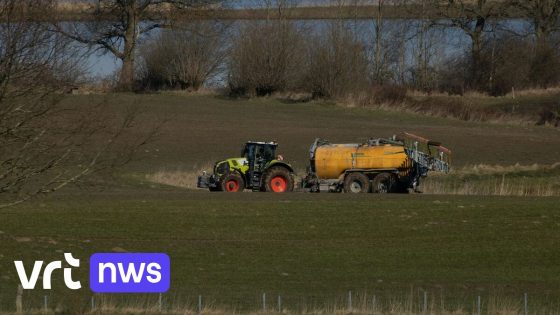 Limburgse boeren zwaarst geraakt door mestverbod in kwetsbare natuurgebieden - VRT