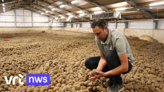 Limburgse aardappelboer zet in op technologie en duurzaamheid: "Tractoren rijden autonoom tot op 2 centimeter nauwkeurig" - VRT
