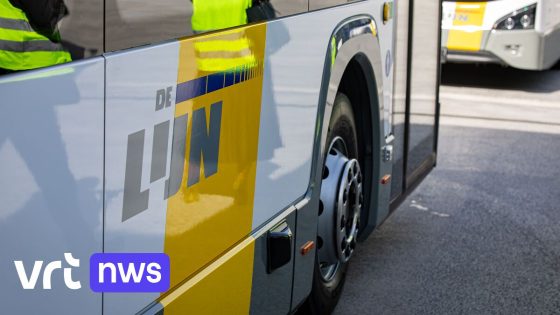 Man uit Leopoldsburg krijgt 2 jaar cel voor zware mishandeling De Lijn-chauffeur: "Maatschappelijk onaanvaardbaar"