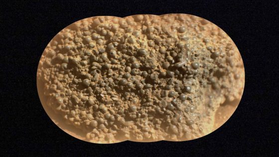 This image from NASA’s Mars Perseverance rover, a fusion-processed SuperCam Remote Micro Imager (RMI) mosaic, shows part of the “” target, acquired from the lower Witch Hazel Hill area of the Jezero crater rim. The image reveals hundreds of strange, spherical-shaped objects comprising the rock. Perseverance acquired this image on March 11, 2025, or sol 1442 — Martian day 1,442 of the Mars 2020 mission. Credit: NASA/JPL-Caltech/LANL/CNES/IRAP.