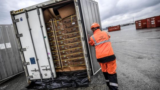 170 kilogram cocaïne aangetroffen op fruitkaai in Antwerpen - GVA