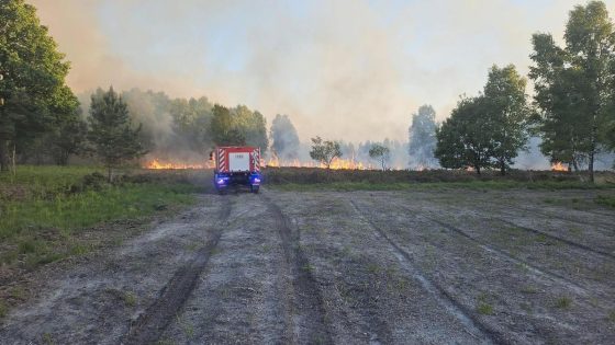 Heidebrand in Nationaal Park Hoge Kempen is gedoofd: “75 hectare afgebrand”