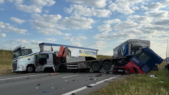 Ongeval met vier vrachtwagens en auto op E19 in Loenhout: weg volledig versperd en bezaaid met wortelen