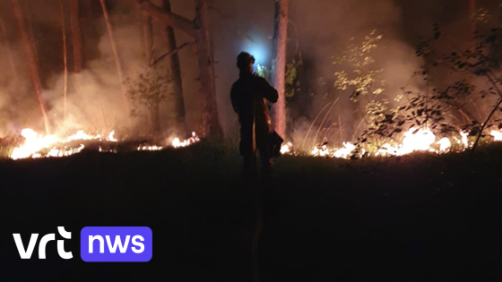 Heidebrand op militair oefenterrein in Leopoldsburg legt 5.700 m² in de as - VRT