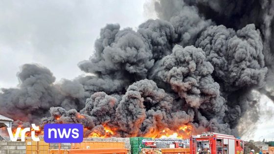 Industriebrand bij afvalverwerkingsbedrijf in Willebroek: donkere rookpluim tot in Antwerpen en Mechelen te zien