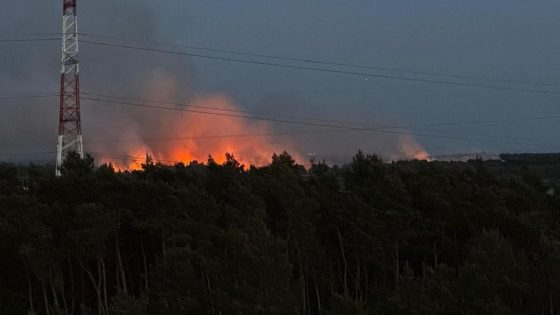 Na uren bluswerk is grote natuurbrand op Mechelse Heide onder controle: “De schade zal groot zijn”