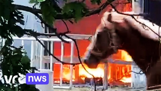 Hevige rookontwikkeling bij stalbrand in Sleidinge: "Houd ramen en deuren gesloten"