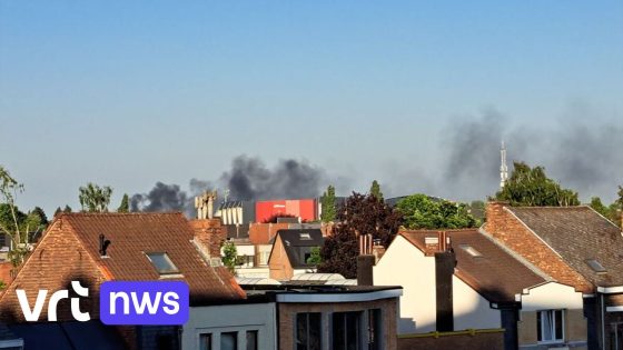 Uitslaande brand in loods in Mechelen, rookpluim was van ver te zien
