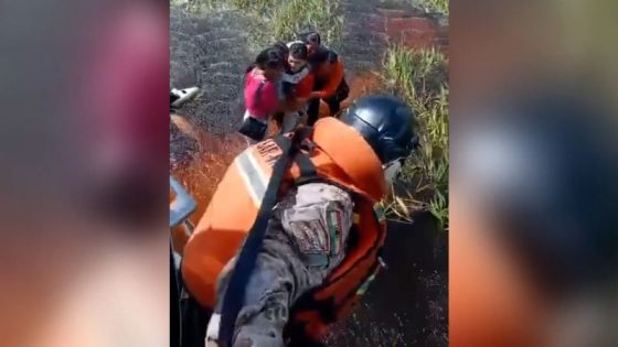 Five people rescued three days after plane crashes in alligator-infested swamp in Amazonian jungle
