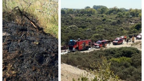 KIJK - Meerdere brandhaarden in duinen van Bredene, oorzaak wordt onderzocht