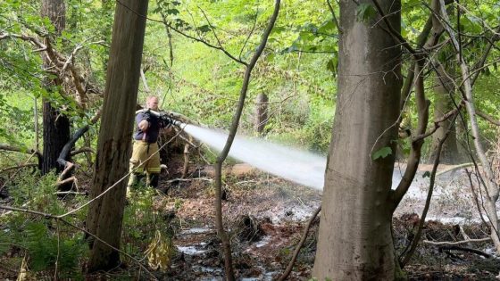 KIJK - Meerdere brandhaarden in Vloethembos in Zedelgem: heel wat vierkante meters bos en vegetatie gaan in vlammen op