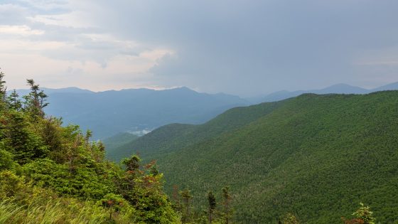 Mushroom-tripping hikers mistakenly report a companion's death, officials say