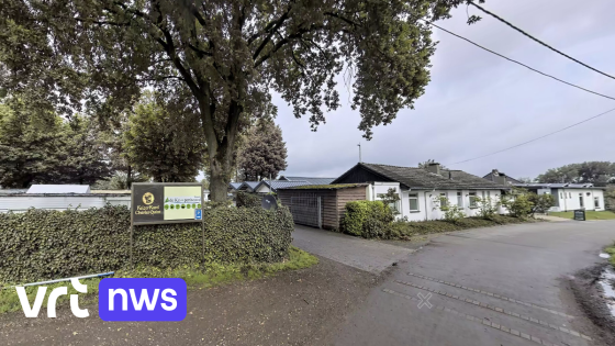 Nieuwe uitbater van camping Kempenheuvel in Bree bouwt al logies, maar heeft geen vergunning: "Cowboypraktijken"