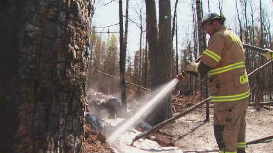Northern Minnesota wildfires remain at 0% containment