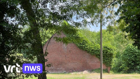 Ooievaarsnest in Grote-Brogel is geen erfgoed meer: "Ondanks bewijs dat dit het geboortehuis is van Pieter Brueghel de oude"