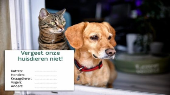 Sinds 2018 al ruim 700.000 Vlaamse huisdierstickers verdeeld