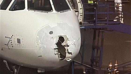 Pak rejected IndiGo pilot’s request amid turbulence