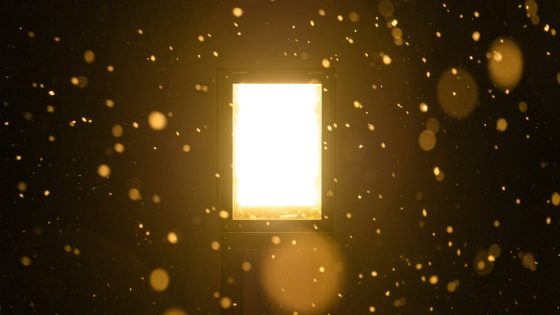 Physicists at the Large Hadron Collider turned lead into gold – by accident