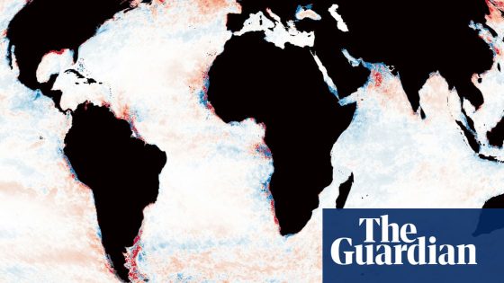 Planet’s darkening oceans pose threat to marine life, scientists say | Marine life