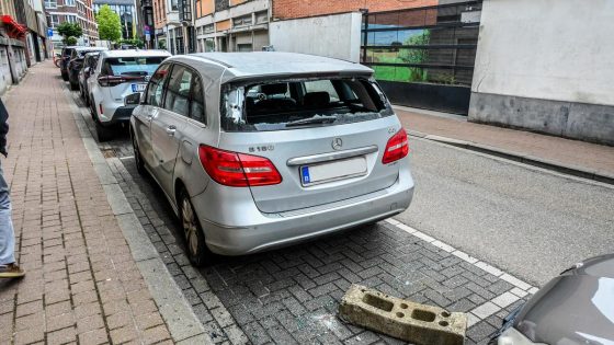 Politie vat dader die 20-tal auto’s zwaar toetakelt in Hasselts stadscentrum