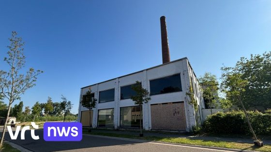 Politie en parket onderzoeken brand in oude gelatinefabriek in Hasselt