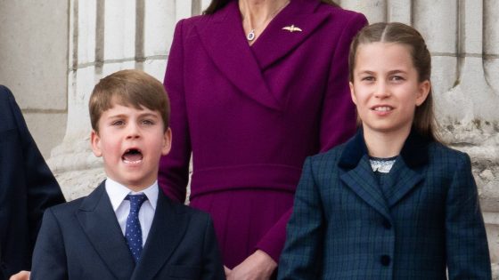 Prince Louis Predictably Steals The Show At Royals' VE Day Celebrations - HuffPost