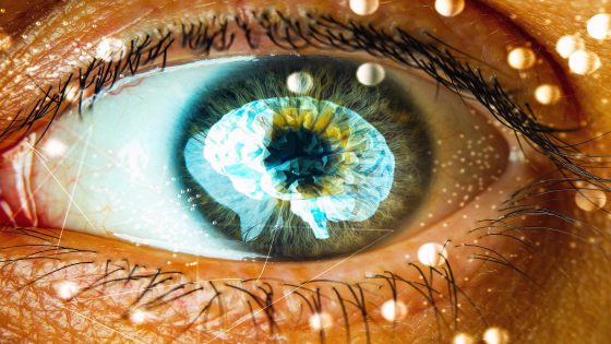 2024/04/pupils-dilate_brains-working-memory-engaged_1m.jpg