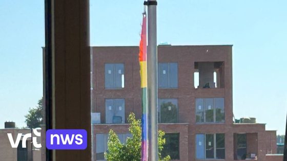 Regenboogvlag in Zonhoven afgesneden en meegenomen door onbekenden: "Hier is geen plaats voor discriminatie" - VRT