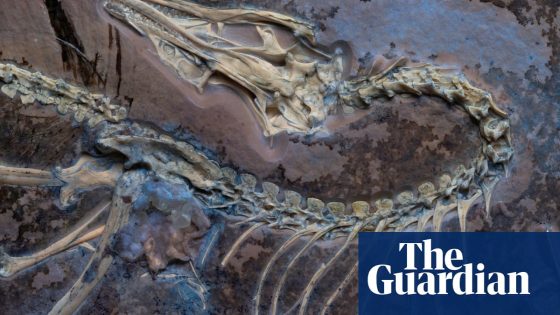 Feathered fossil provides clues about how earliest birds first took flight | Fossils