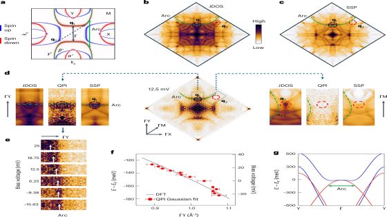 Research sheds light on future applications in spintronics and valleytronics