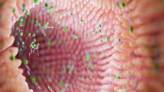 Common Gut Fungus May Protect Against Fatty Liver Disease, Study Finds : ScienceAlert