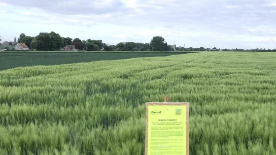 Riemsts fruitbedrijf plant groots nieuwbouwproject met verblijf voor seizoensarbeiders