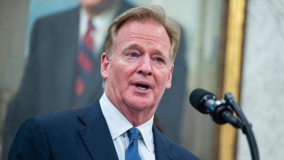 Roger Goodell: USA Football will select Olympic team, not the NFL